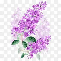 水彩 油漆 湿墨-空若网 水彩 油漆 湿墨-空若网