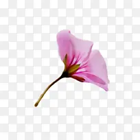 水彩 颜料 湿墨-空若网 水彩 颜料 湿墨-空若网