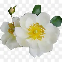 水彩画 颜料 湿墨-空若网 水彩画 颜料 湿墨-空若网