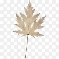 水彩画 油漆 湿墨-空若网 水彩画 油漆 湿墨-空若网