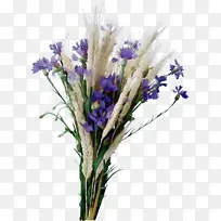 水彩画 油漆 湿墨-空若网 水彩画 油漆 湿墨-空若网