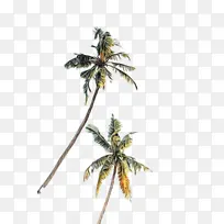 ˮ�ʻ� ���� ʪī-������