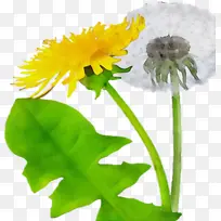 水彩 油漆 湿墨-空若网 水彩 油漆 湿墨-空若网