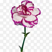 水彩画 颜料 湿墨-空若网 水彩画 颜料 湿墨-空若网