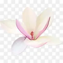 水彩 颜料 湿墨-空若网 水彩 颜料 湿墨-空若网