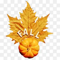 叶子 枫叶 树-空若网 叶子 枫叶 树-空若网