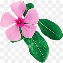 水彩画 颜料 湿墨-空若网 水彩画 颜料 湿墨-空若网