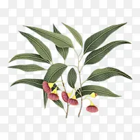 Ë®²Ê ÓÍÆá ʪī-¿ÕÈôÍø Ë®²Ê ÓÍÆá ʪī-¿ÕÈôÍø