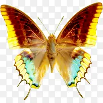 ·É¶êºÍºûµû ºûµû À¥³æ-¿ÕÈôÍø ·É¶êºÍºûµû ºûµû À¥³æ-¿ÕÈôÍø