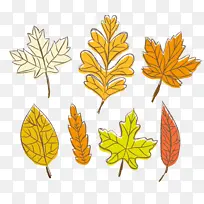 叶子 植物 树-空若网 叶子 植物 树-空若网