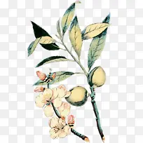 波普艺术 复古 植物-空若网 波普艺术 复古 植物-空若网