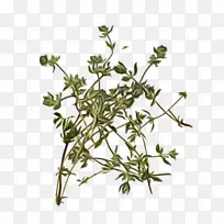 水彩画 油漆 湿墨-空若网 水彩画 油漆 湿墨-空若网