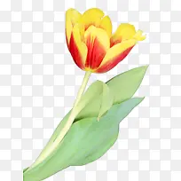 ˮ�� ���� ʪī-������