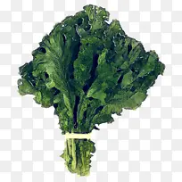 Ò¶²Ë Êß²Ë ÓðÒ¸ÊÀ¶-¿ÕÈôÍø Ò¶²Ë Êß²Ë ÓðÒ¸ÊÀ¶-¿ÕÈôÍø