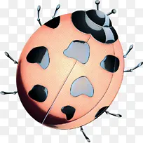 波普艺术 复古 昆虫-空若网 波普艺术 复古 昆虫-空若网