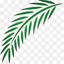 Ҷ �� ֲ��-������