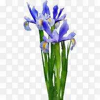 水彩画 颜料 湿墨-空若网 水彩画 颜料 湿墨-空若网