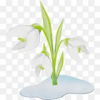 ˮ�ʻ� ���� ʪī-������