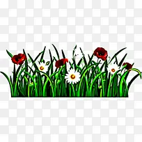 花 绿色 植物-空若网 花 绿色 植物-空若网