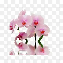 水彩画 颜料 湿墨-空若网 水彩画 颜料 湿墨-空若网