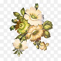 开花植物 花 植物-空若网 开花植物 花 植物-空若网