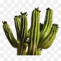 水彩画 颜料 湿墨-空若网 水彩画 颜料 湿墨-空若网