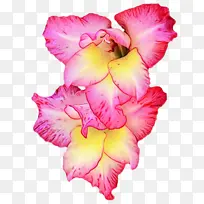 ˮ�� ���� ʪī-������