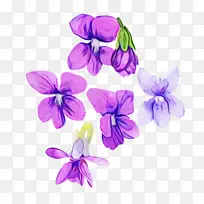 水彩 颜料 湿墨-空若网 水彩 颜料 湿墨-空若网