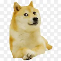 水彩画 绘画 湿墨-空若网 水彩画 绘画 湿墨-空若网