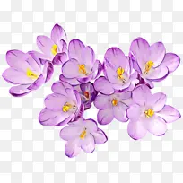 水彩 油漆 湿墨水-空若网 水彩 油漆 湿墨水-空若网