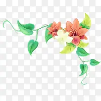 ˮ�ʻ� ���� ʪī-������