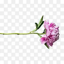 水彩 油漆 湿墨-空若网 水彩 油漆 湿墨-空若网