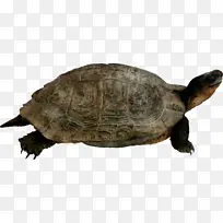 水彩画 颜料 湿墨-空若网 水彩画 颜料 湿墨-空若网