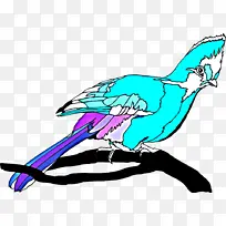 喙 鸟 线条艺术-空若网 喙 鸟 线条艺术-空若网