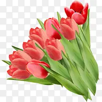 水彩 油漆 湿墨-空若网 水彩 油漆 湿墨-空若网