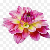 水彩画 颜料 湿墨-空若网 水彩画 颜料 湿墨-空若网