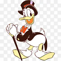 ��ͨ ���� Ѽ��-������