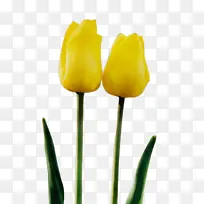 水彩 颜料 湿墨-空若网 水彩 颜料 湿墨-空若网