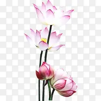 水彩 颜料 湿墨-空若网 水彩 颜料 湿墨-空若网