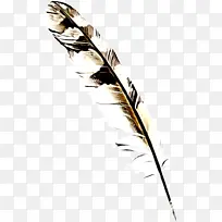 羽毛 羽毛笔 草科-空若网 羽毛 羽毛笔 草科-空若网
