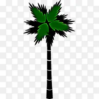 采购产品树 棕榈树 绿色-空若网 采购产品树 棕榈树 绿色-空若网