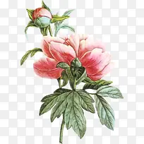 水彩 颜料 湿墨-空若网 水彩 颜料 湿墨-空若网