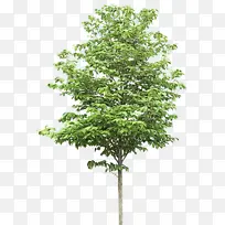 水彩 油漆 湿墨-空若网 水彩 油漆 湿墨-空若网