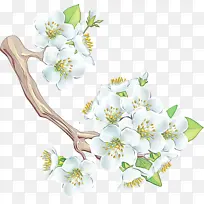 ˮ�ʻ� ���� ʪī-������