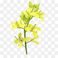 水彩画 油漆 湿墨-空若网 水彩画 油漆 湿墨-空若网