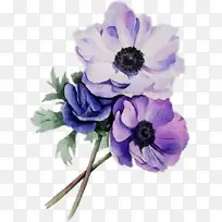 水彩 颜料 湿墨-空若网 水彩 颜料 湿墨-空若网