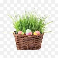 ˮ�� ���� ʪī-������