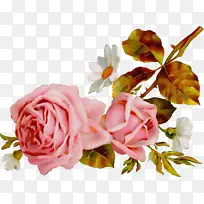 ˮ�� ���� ʪī-������