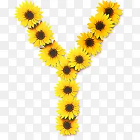 ���տ� �� ��ɫ-������