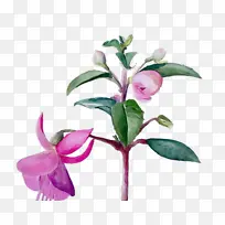 ˮ�� ���� ʪī-������